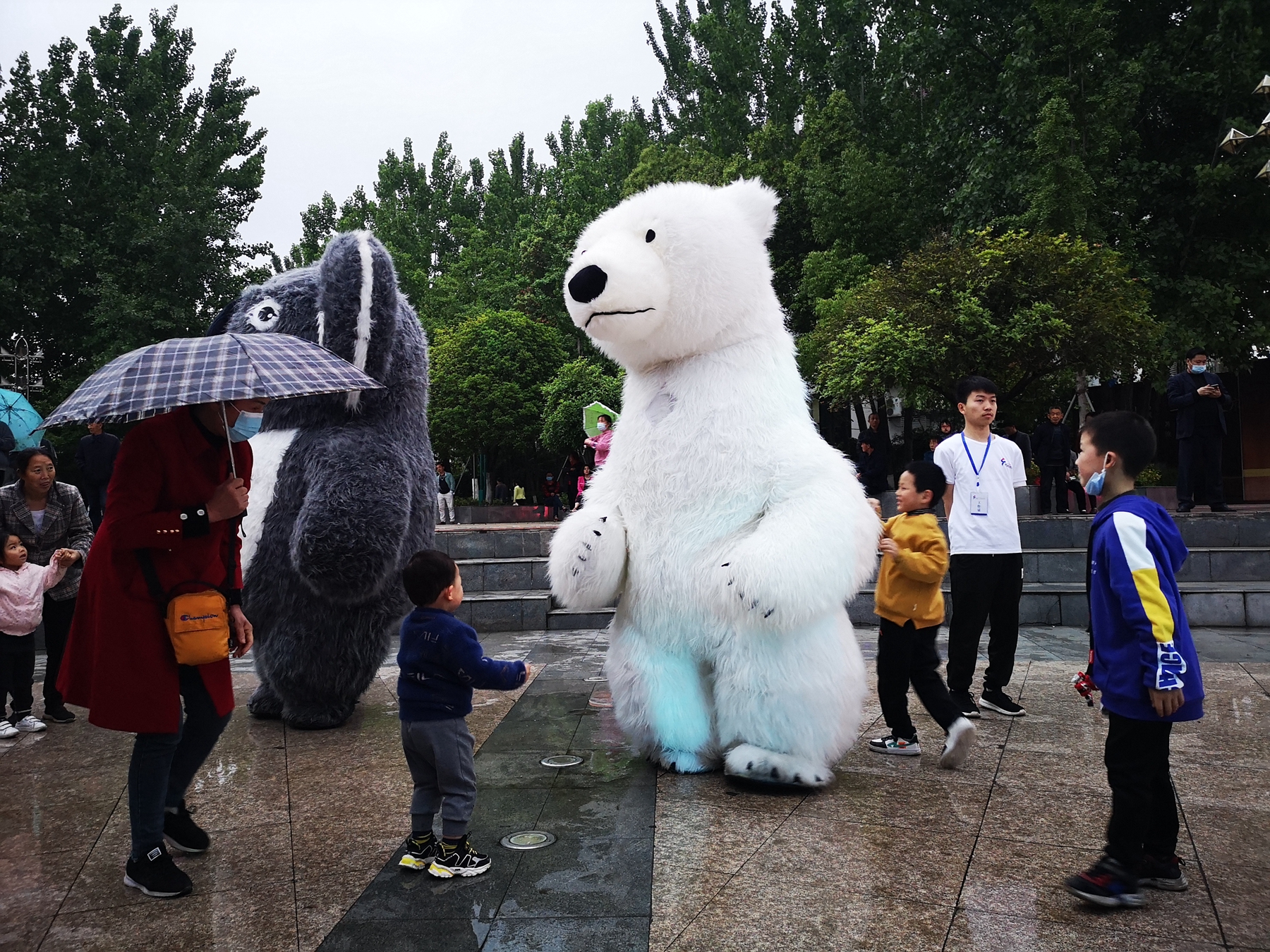城市趣闻，“北极熊”亮相广元苴国广场，一起去看看！