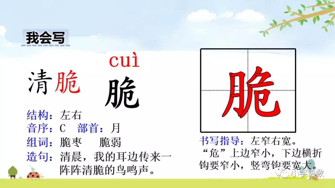 预习部编版六年级下册第16课表里的生物图文讲解