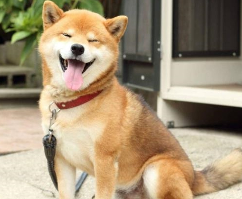 102bae4f05104b5f8019931e00f8f318.jpeg