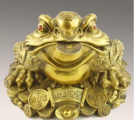 梦见金蟾蜍，财富与好运的预兆