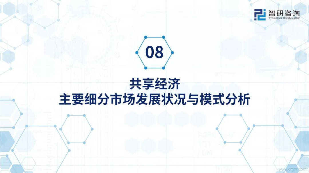 2020年中国共享经济行业市场全景调查分析报告图