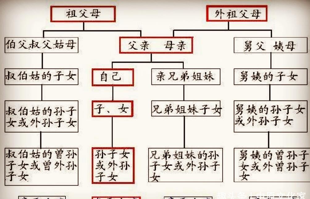 原创过节的尴尬满屋亲戚分不知该怎么叫堂亲表亲难以分清