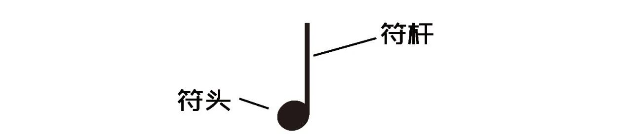二分音符就是1/2个全音符,由空心的符头和符干组成.