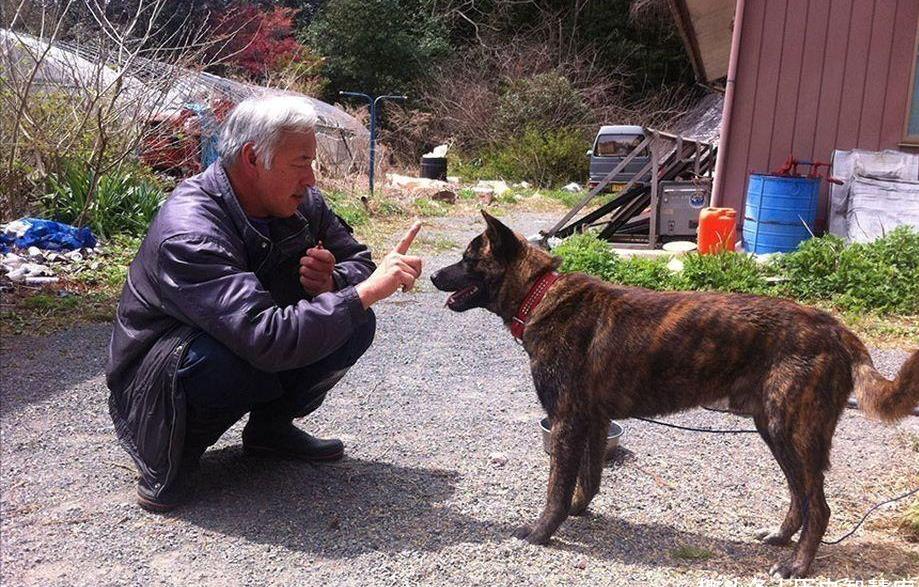 日本大爷不顾反对,进入福岛核辐射区照顾动物6年,最终结局如何_松村