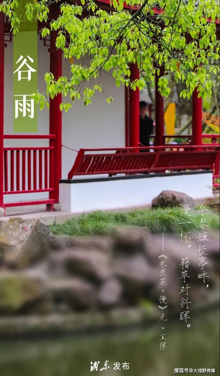 谷雨:雨生百谷暮春至,萍生鸠鸣夏将来