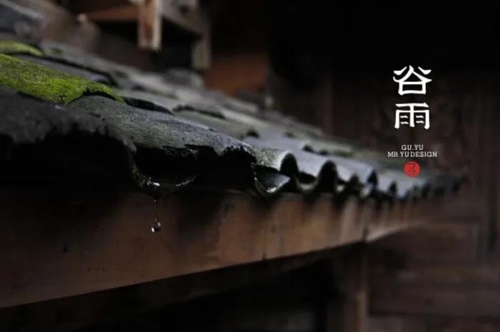 抓住春天的尾巴，从学“谷雨”小知识开始