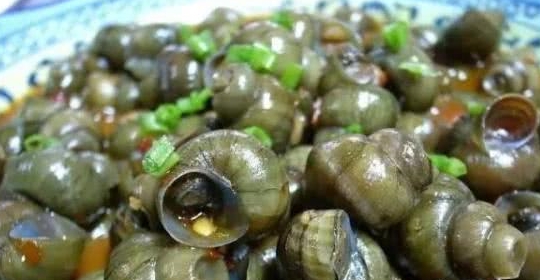 哪些食物会被感染寄生虫 f1e987b90dd14afcb37d13fd55a97b2a.jpeg