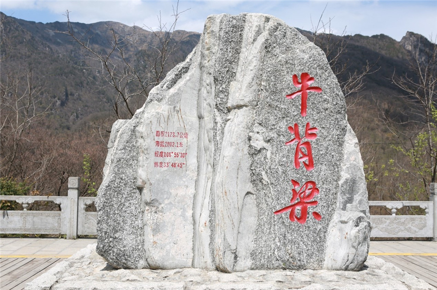 【中国有约】牛背梁国家级自然保护区:秦岭东部的绿色明珠