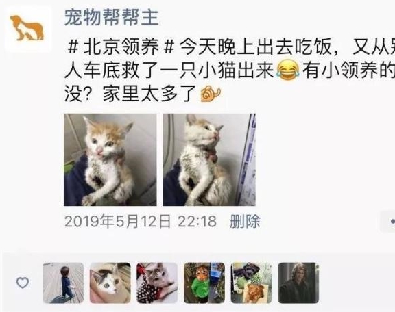 什么死狗成语_成语故事手抄报(3)
