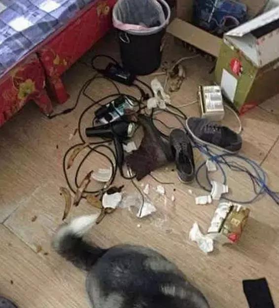 歪打正着是什么感觉 3fbf889d924846538455b4671baab945.jpeg