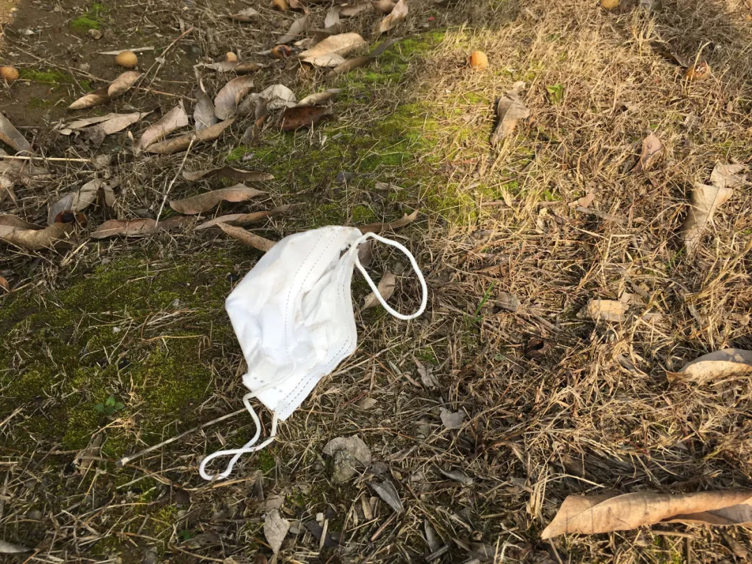 那些被随手丢弃的口罩都去了哪里