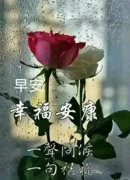 c7fe01c2aebb4774b2be6a2f0644eceb.jpeg