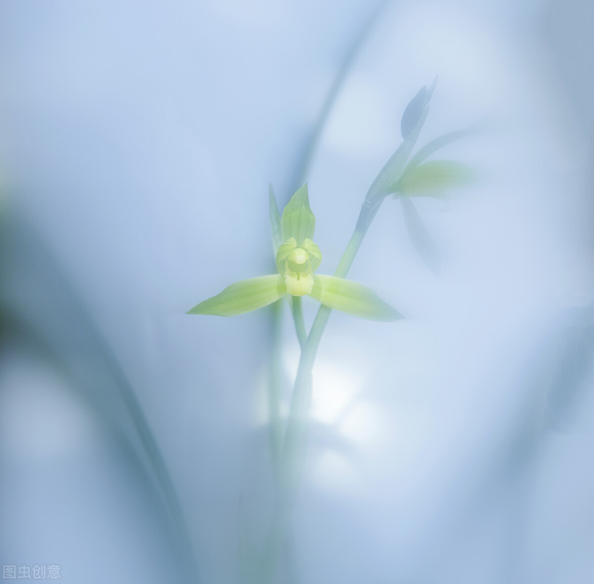 浮云吹作雪 X世味煮成茶孤影忆花繁识得依稀颜 自媒体热点 浮云吹作雪 X世味煮成茶孤影忆花繁识得依稀颜 自媒体热点