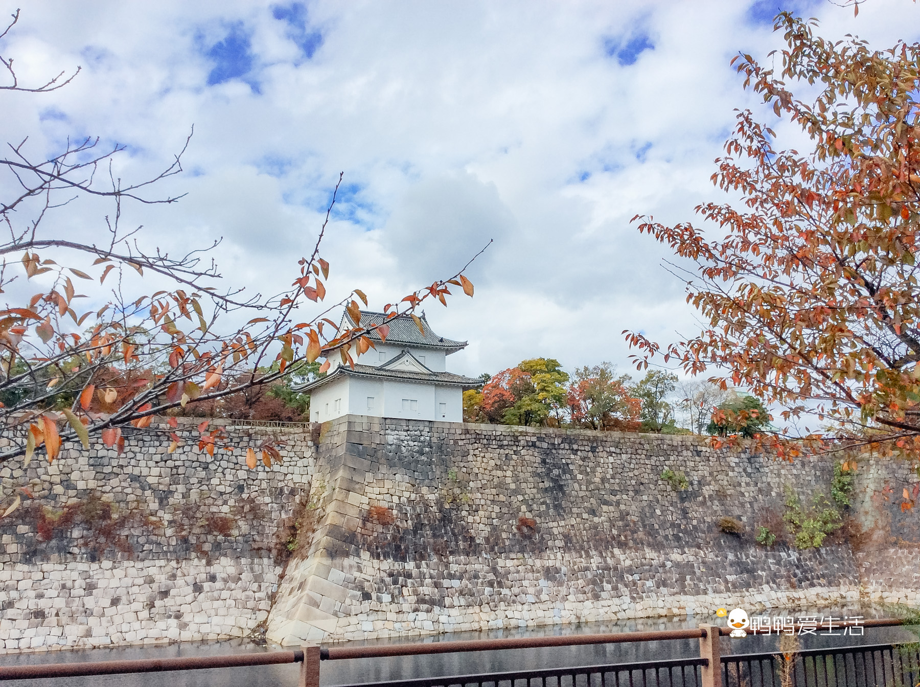 日本大阪最大的公园 被5个地铁站包围 花开时节美不胜收 天守阁