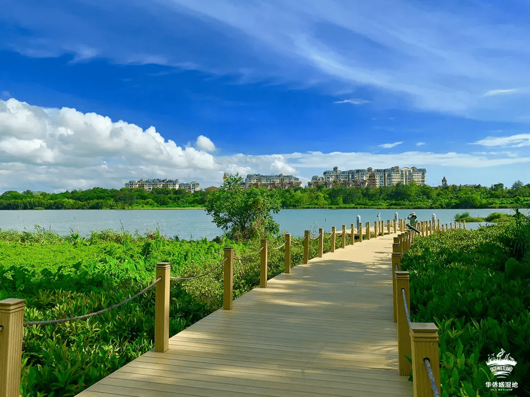 深圳首家!華僑城國家溼地公園正式掛牌