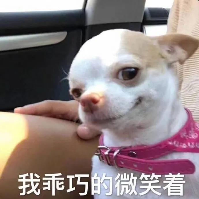 c1281f953cea479c840ae83fb8998d03.jpeg