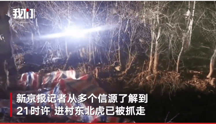 2021在家怎么赚钱-在家怎么快速赚钱