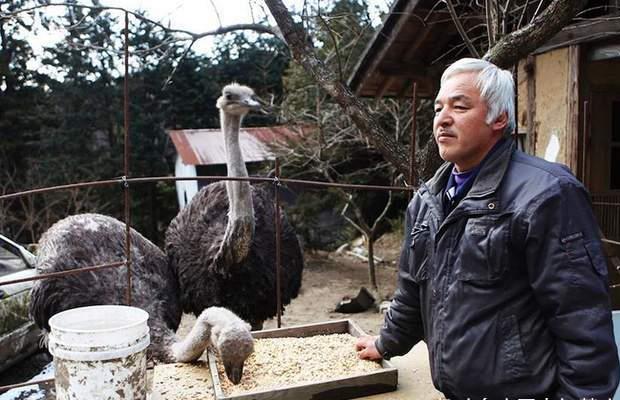 原創日本老人堅守核洩漏區照料變異動物六年卻有人希望他趕快去世