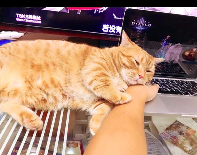 为什么眼睛睁不开但是不困 12740493b4234caaa9b0c5f63d6ba57b.jpeg