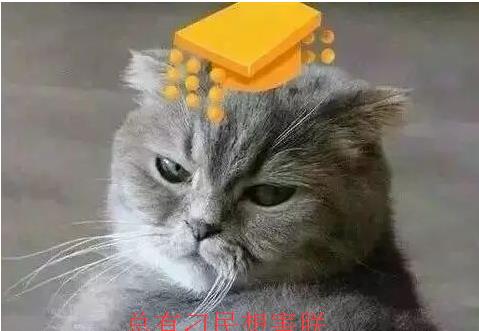 38d3112f272d4fc49e0f36d30fbf749e.jpeg