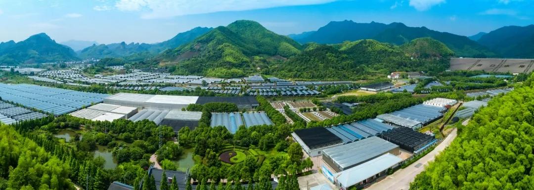 走进寿仙谷药业,体验非遗独特魅力,传承传统中医文化_中医药