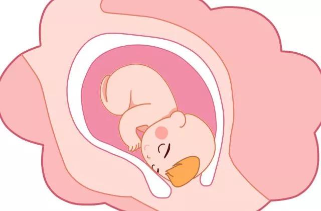 羊水是胎宝宝的尿液？关于羊水的n个冷知识，你知道几个？