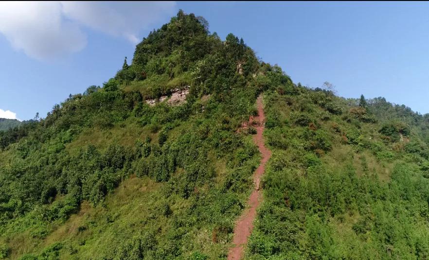 【創建天府旅遊名縣】五一小長假,四川興文為你安排妥當了!