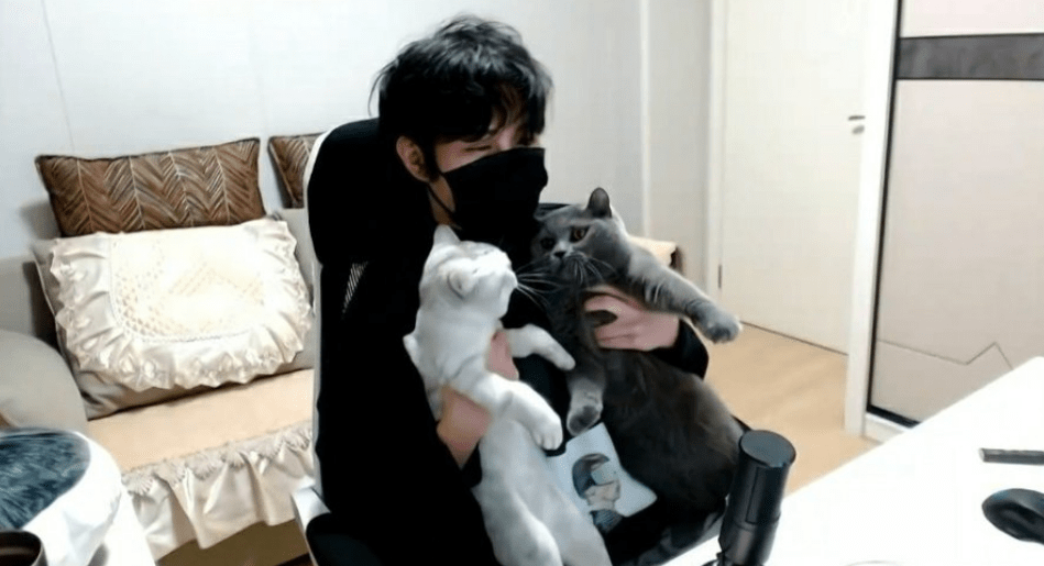 北慕现在的成就是非常高的,完全没必要做出这种自毁