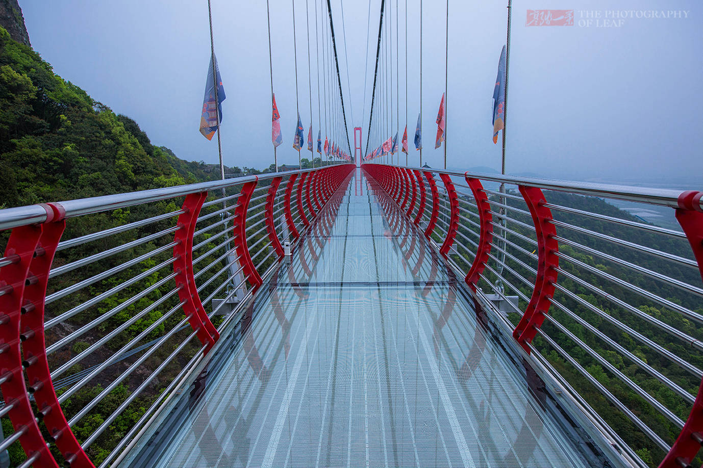 景区内的步步惊心和高空秋千,也一定不会让你失望.