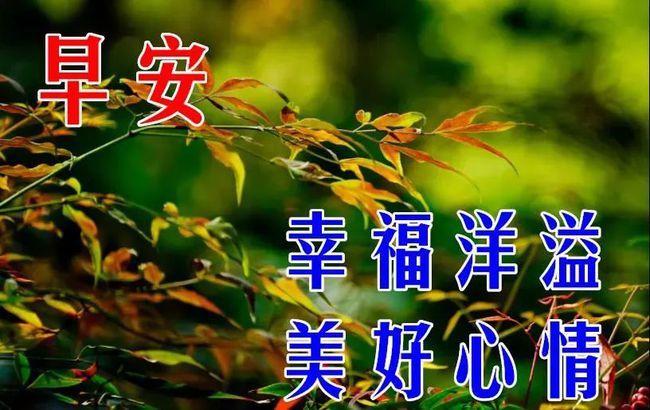 原創2021年4月28日週三早上好問候祝福動態表情圖片最新早安問候祝福