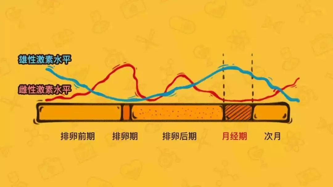 子宮內膜在整個月經週期是逐漸變化的,月經是子宮內膜脫落引起的,在