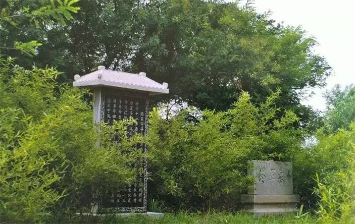 终军墓,在今临淄牛山之西,为省级重点文物保护单位.