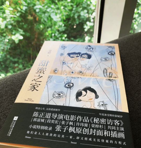 《秘密访客》是根据什么小说改编的 《秘密访客》结局真相是什么