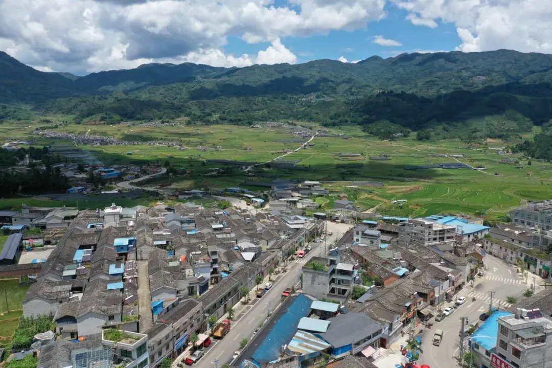 新华乡扎实开展爱国卫生7个专项行动