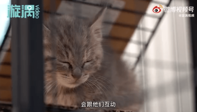 750d7d588e564abf863fc9746a96dd37.png
