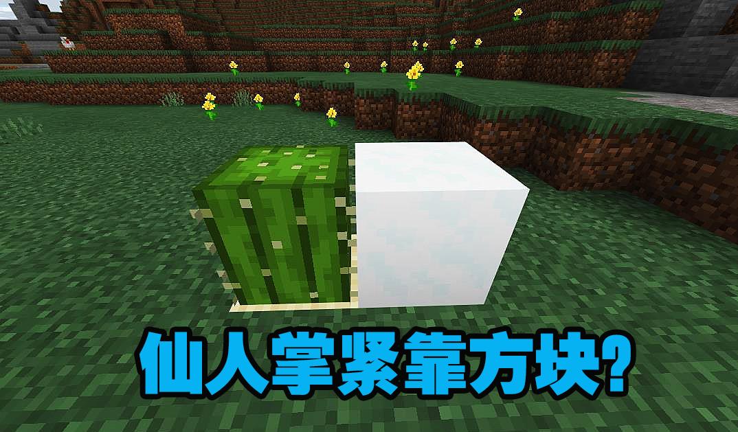 我的世界 Mcpe的一些冷知识 老玩家也不会知道 仙人掌
