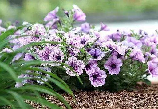 ec9254bcf6df4abcb67b464e79ea14a8.jpeg