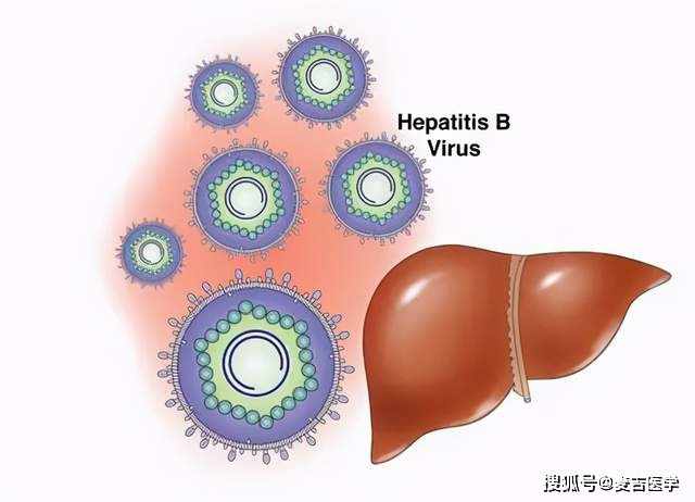 什么|治疗乙肝时要注意什么？牢记这4点，肝脏才会少受“折腾”