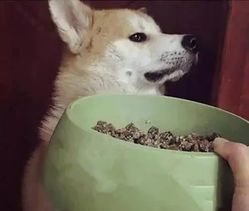 5324635e3e7e49c6a473110da190f4c6.jpeg