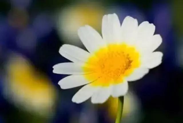 理解包容人心 9e2d2504a66e4c4a9ddd491d3b25d18f.jpeg