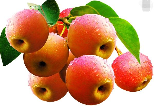 它被誉为"梨中之王",产自北方,名字却叫南果梨,自带酒香味_水果