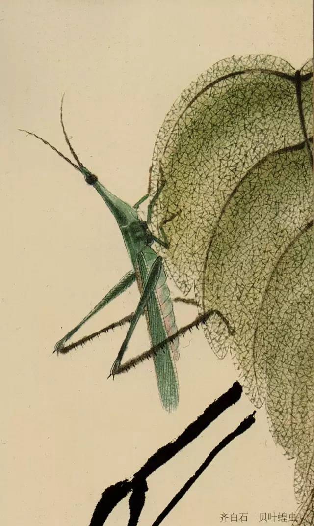 国画技法图典草虫篇蝗虫蚂蚱蝈蝈螽斯螳螂蟋蟀