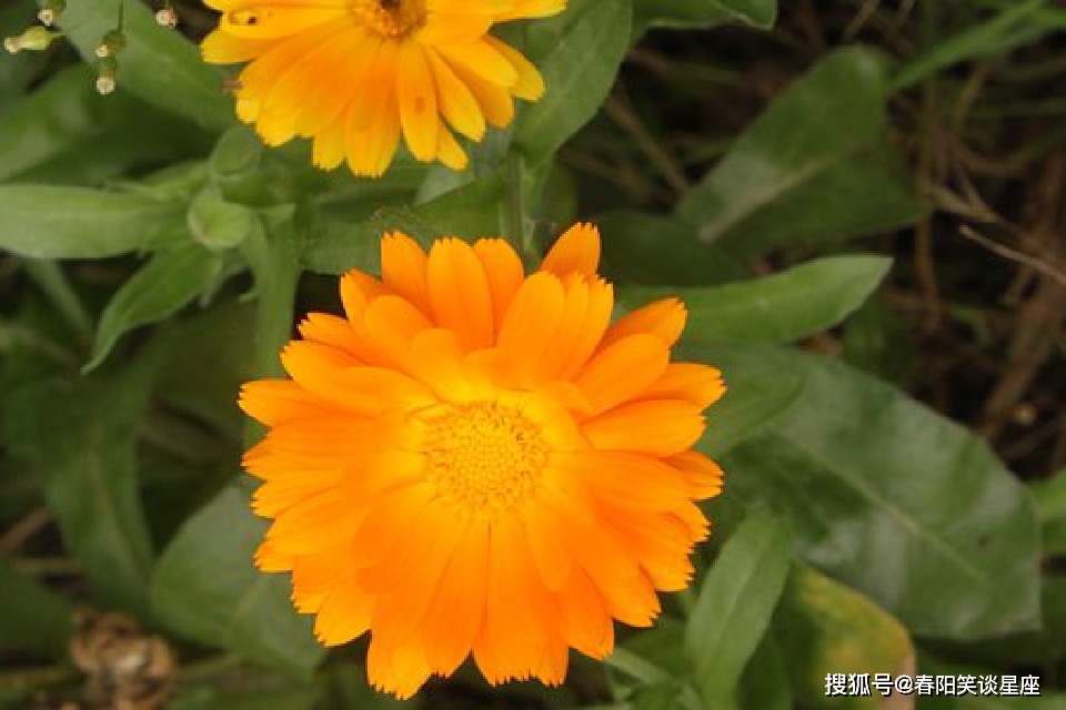 朴实无华的小句子，经典走心，让人心领神会