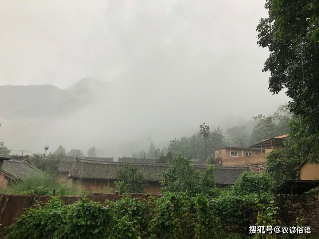 50236fd276f2430f98fd5275caf48e53.jpeg