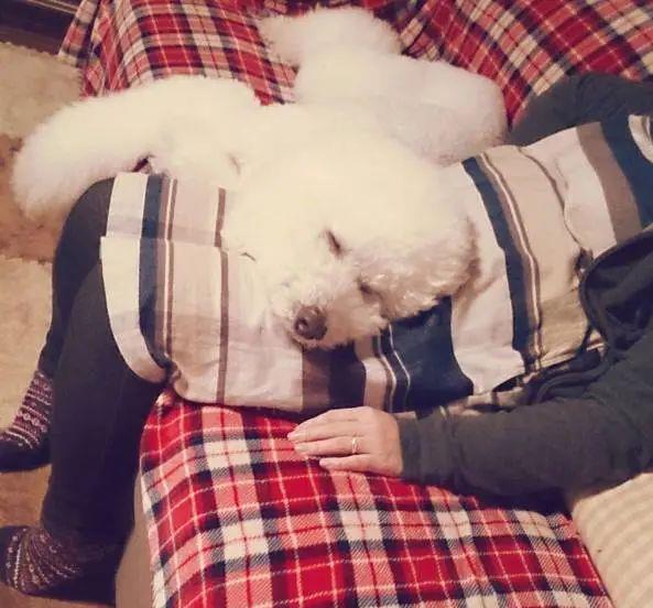 怀孕肚子一边大一边小怎么办 1cd41b690a9b46c1ad27b5587453d579.jpeg