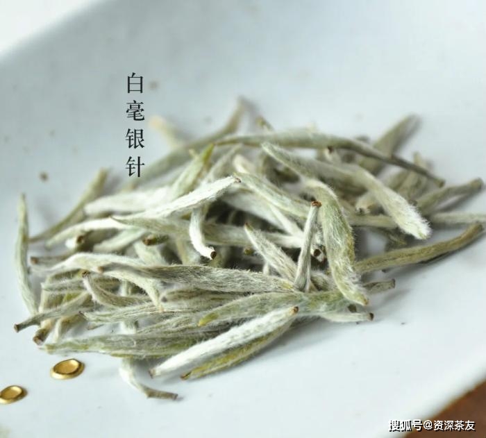 白毫银针属于什么茶