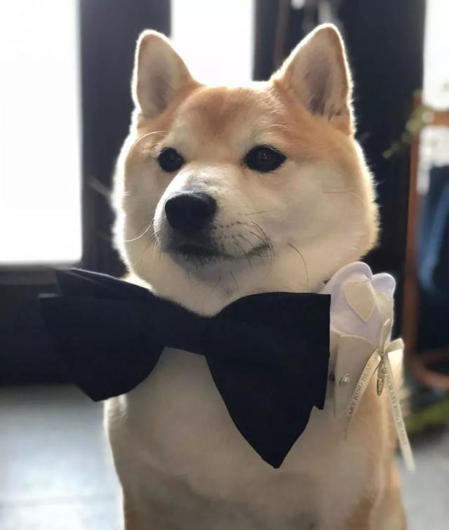 67674b543f4d47f6ac263040ef4f7c0f.jpeg