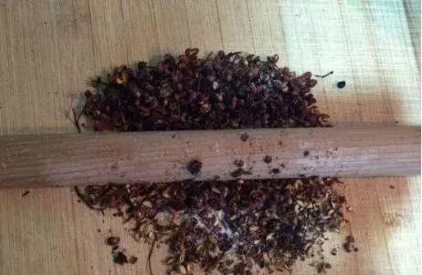 花椒|金针菇这么做！金黄酥脆又好看，不塞牙全家都可以吃！