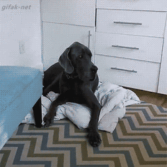 7fdf6b7578994e148796807b25a22502.gif