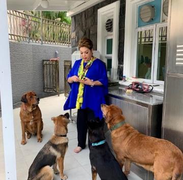 给狗接生的方法 81fb7fc8b67e4200ae42719e0a0da0e7.jpeg